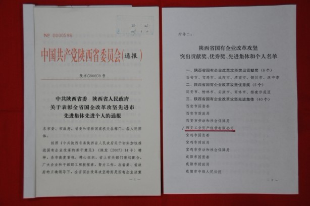 2009年2月，，，，，，被陕西省委、省政府授予陕西省国有企业刷新攻坚先进整体